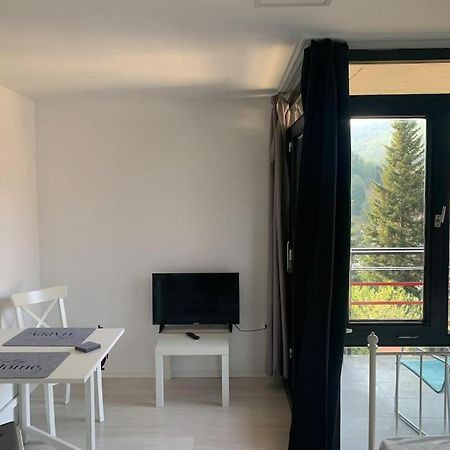 Gemuetliches Einzimmer-Apartment 33 Bad Wildbad Exterior foto